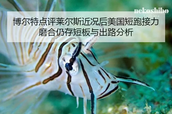 博尔特点评莱尔斯近况后美国短跑接力磨合仍存短板与出路分析